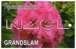 RHODODENDRON Grandslam