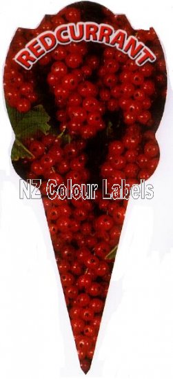 REDCURRANT Redcurrant - Click Image to Close