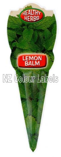 Lemon Balm - Melissa Officinalis - Click Image to Close