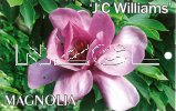 MAGNOLIA JC Williams