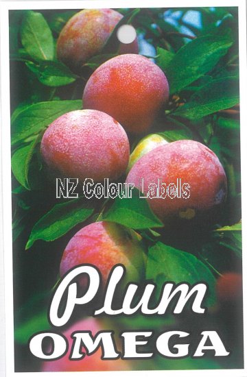 PLUM Omega - Click Image to Close