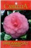 CAMELLIA Dreamboat