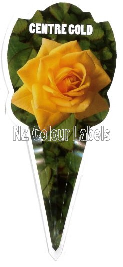 ROSE MINIATURE Centre Gold - Click Image to Close