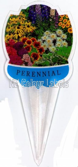 Perennial Group - Click Image to Close