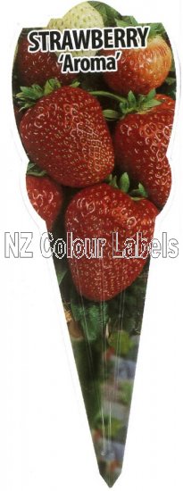 STRAWBERRY Aroma - Click Image to Close