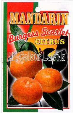 MANDARIN Burgess Scarlet - Click Image to Close