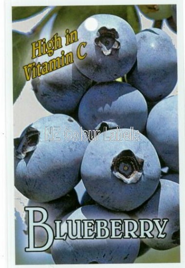 BLUEBERRY Vaccinium Corymbosum - Click Image to Close