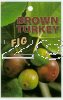 FIG Brown Turkey