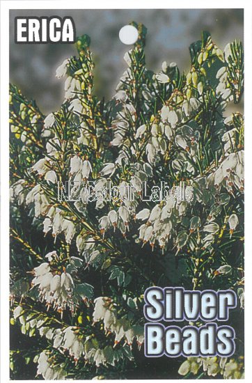 ERICA Silver Beads - Click Image to Close