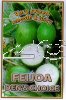 FEIJOA Den's Choice