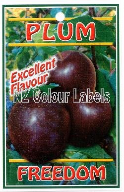 PLUM Freedom - Click Image to Close