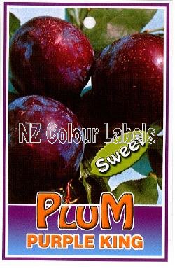 PLUM Purple King - Click Image to Close