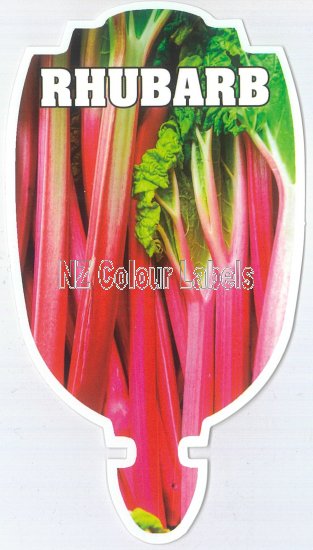 RHUBARB - Click Image to Close