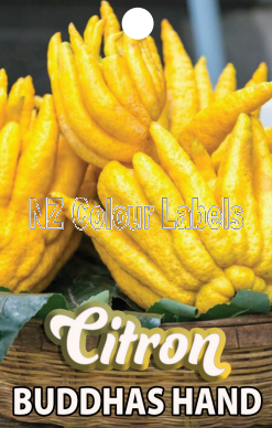 CITRON Buddhas Hand - Click Image to Close