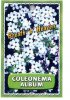 COLEONEMA album (White Diosma)