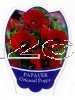 PAPAVER orientale [Oriental Poppy]