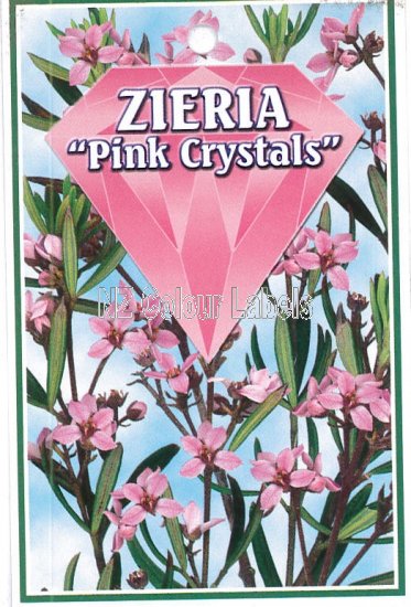 ZIERIA Pink Crystals - Click Image to Close