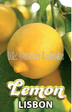 LEMON Lisbon - Click Image to Close