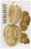 WALNUT Walnut