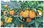 KUMQUAT Meiwa