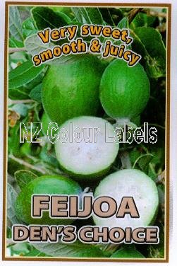 FEIJOA Den's Choice - Click Image to Close