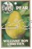 PEAR William's Bon Chretien