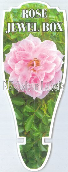 ROSE MINIATURE Jewel Box - Click Image to Close