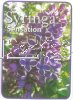 SYRINGA Sensation