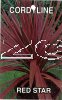 CORDYLINE Red Star