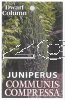 JUNIPERUS com. Compressa