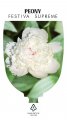 Peony Festiva Supreme Peony Festiva Supreme
