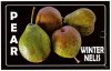 PEAR Winter Nelis