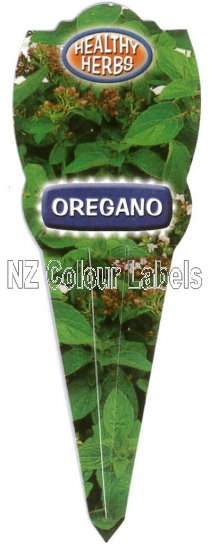 Oregano -Origanum Vulgare - Click Image to Close