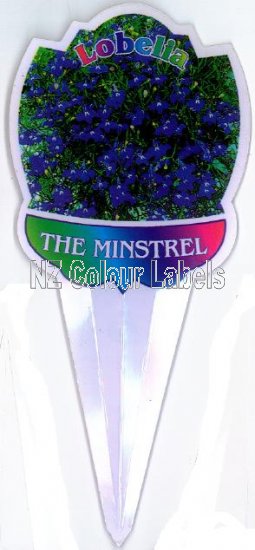 LOBELIA The Minstrel - Click Image to Close