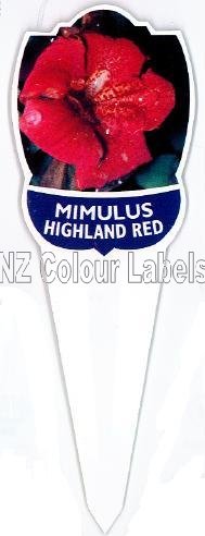 MIMULUS Highland Red - Click Image to Close