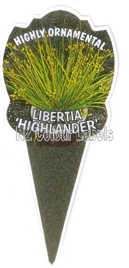 LIBERTIA Highlander - Click Image to Close