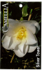 CAMELLIA Silver Tower