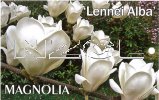 MAGNOLIA lennei Alba