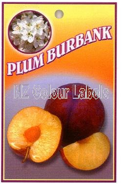 PLUM Burbank (japanese) - Click Image to Close