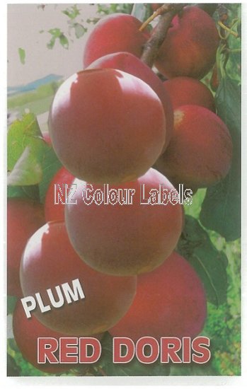 PLUM Red Doris - Click Image to Close