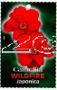 CAMELLIA Wildfire Japonica