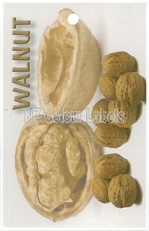 WALNUT Walnut - Click Image to Close