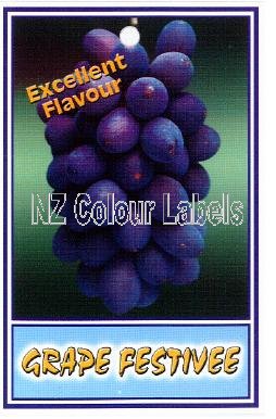 GRAPE Festivee - Click Image to Close