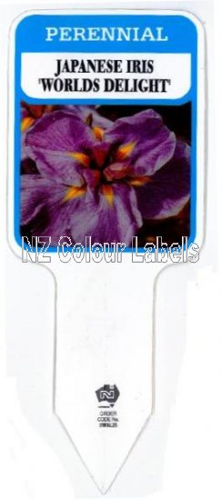 IRIS Worlds Delight - Click Image to Close