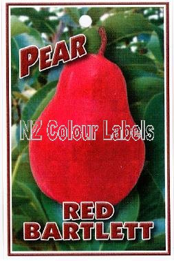 PEAR Red Bartlett - Click Image to Close