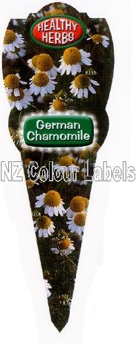 Chamomile German - Matricaria German Chamomile - Click Image to Close