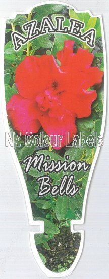 AZALEA Mission Bells - Click Image to Close