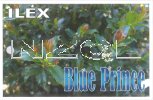 ILEX Blue Prince