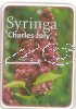 SYRINGA Charles Joly