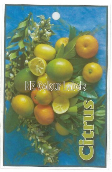 CITRUS assorted - Click Image to Close